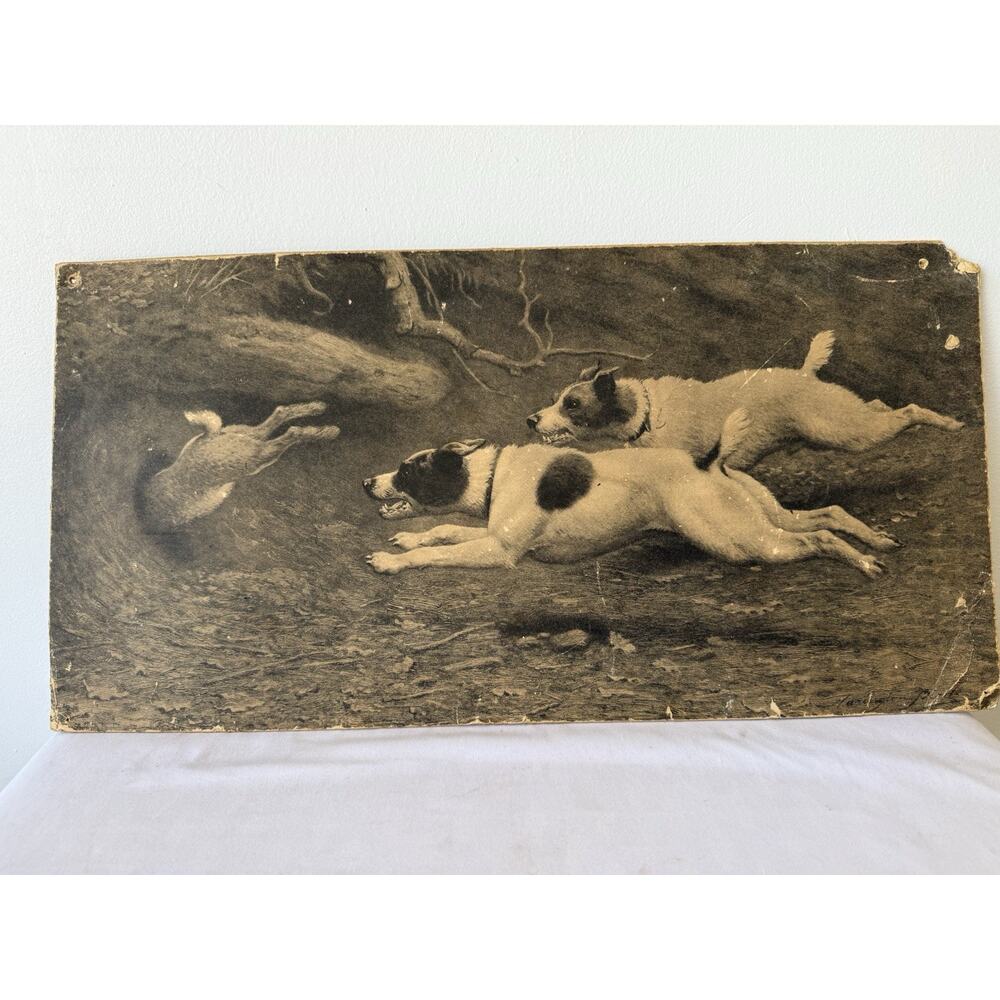 1904 John Alexander Harrington Bird Terriers Chasing Rabbit Litho Vintage Art